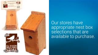 Top Tips for Successful Bluebirding