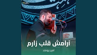 آرامش قلب زارم - امیر برومند