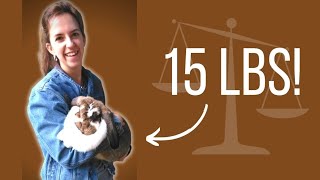How To Handle A BIG Rabbit