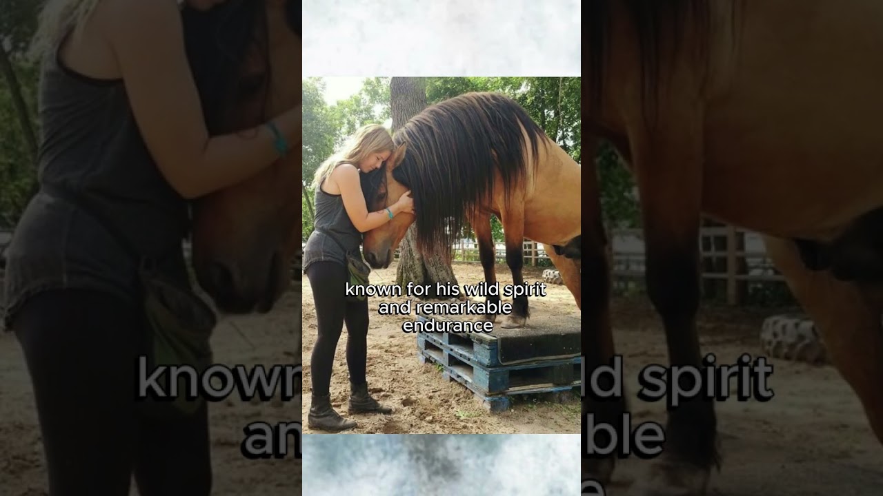 Spirit is a real horse 