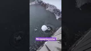 Oha O Kar Topu Ne Öyle