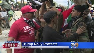 Rowdy Protests, A Few Arrests But No Violence Outside Anaheim Trump Rally