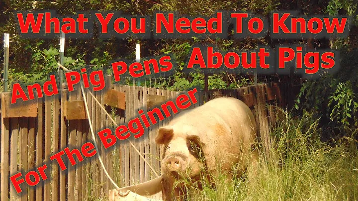 What You Need To Know About Raising Pigs For Beginners