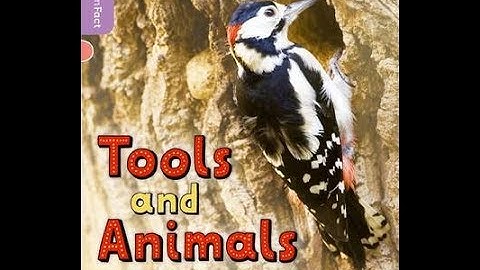 [Extensive Reading] - Tools and Animals (inFact series)