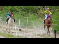 DESAFIO - Corrida de cavalos - PRINCESA vs DOUTORA