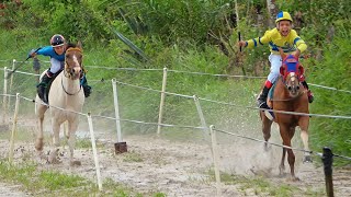 DESAFIO - Corrida de cavalos - PRINCESA vs DOUTORA