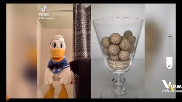 donald duck reacts to satisfying tiktoks (DO NOT LAUGH CHALLENGE) ‎@DonaldDucc  reaction