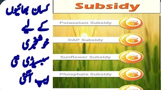 dap subsidy new app instal / Subsidy nee application 2020 screenshot 4