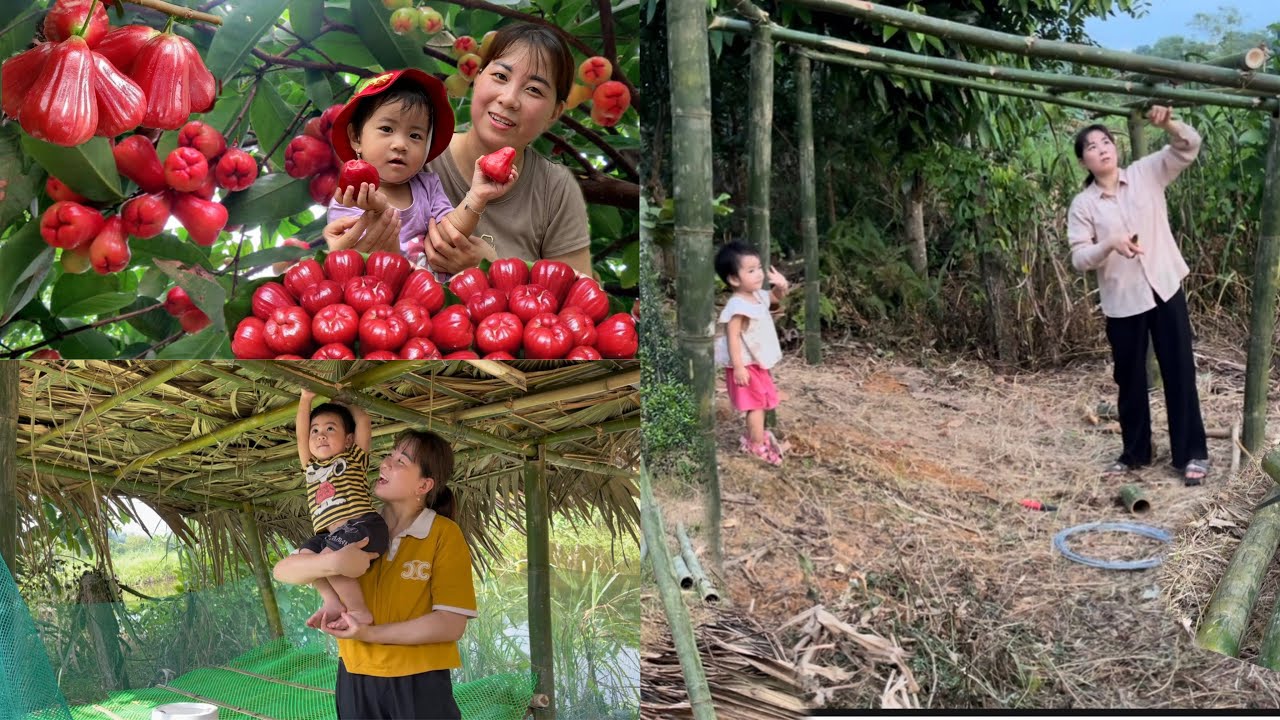 История матери-одиночки, которая рубит бамбук для строительства курятника и покупает своих первых ку