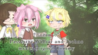 “Tommy?” Passerine Techno and Wilbur meets Dsmp Tommy (Original plot 🤔!) (somewhat angst) part 1