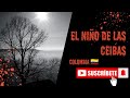 🌳👻 El Niño de las Ceibas: La Leyenda que Aterroriza a Colombia