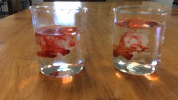 Diffusion of food coloring in water