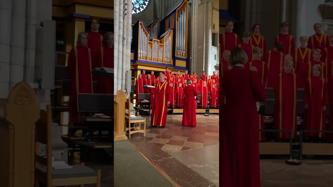 Tenor solo by T. Cederholm - ”The trumpet’s loud clangour”, Ode for St. Cecilia’s day (G. F. Händel)