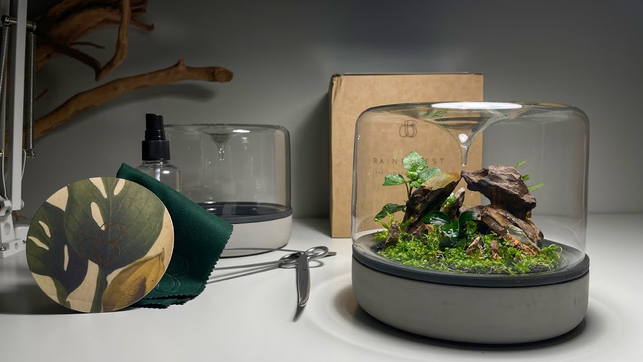 تيراريوم بطريقة المودرن - MAKE MODERN TERRARIUM