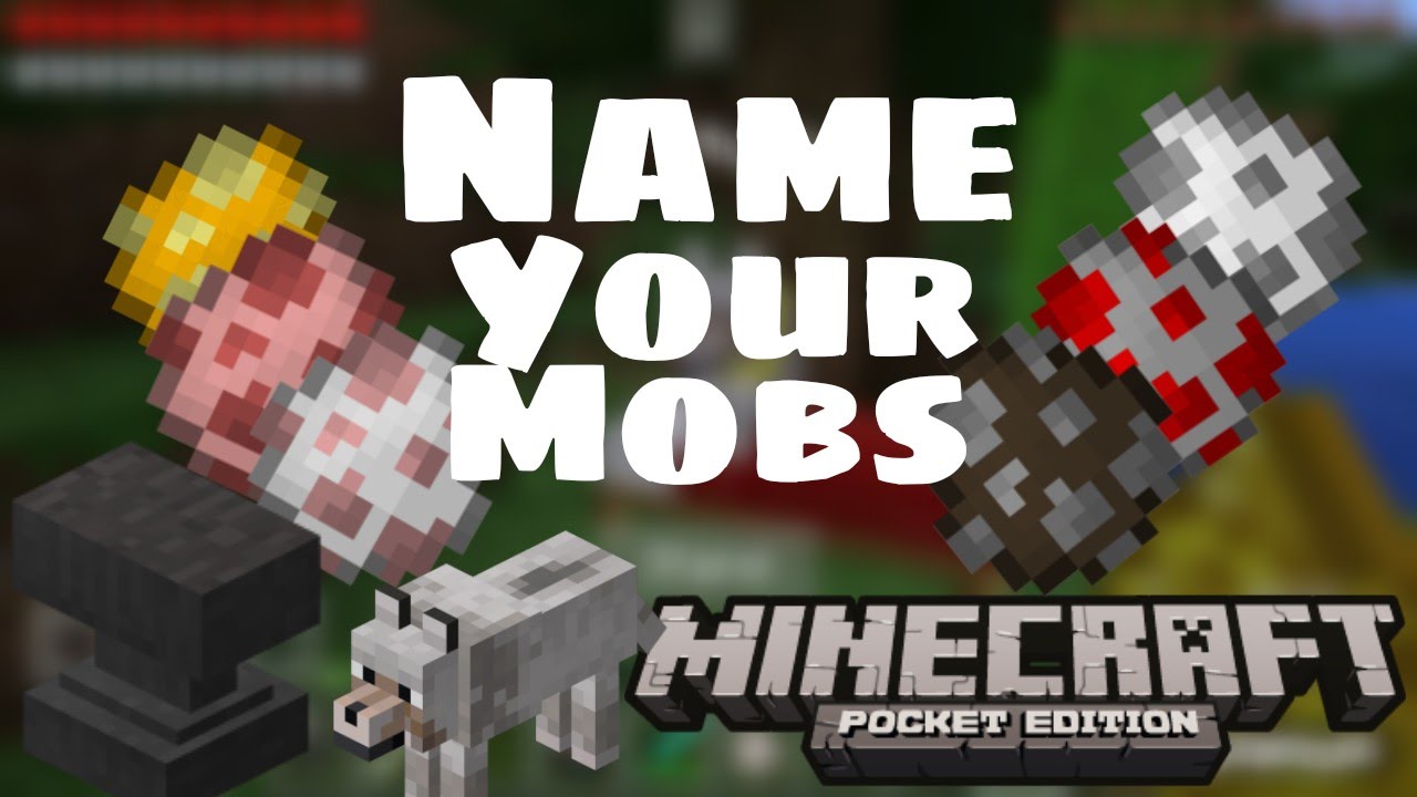 How To Name Your Dog In Minecraft Pe 0 12 1 Dtg Youtube