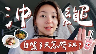 沖繩自駕三天怎麼玩？意外發現好吃的沖繩麵🍜！不用搭船的貓島🐱、海景第一排超Chill茶屋🍵