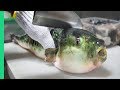 Eating Japan's POISONOUS PufferFish!!! ALMOST DIED!!! *Ambulance*