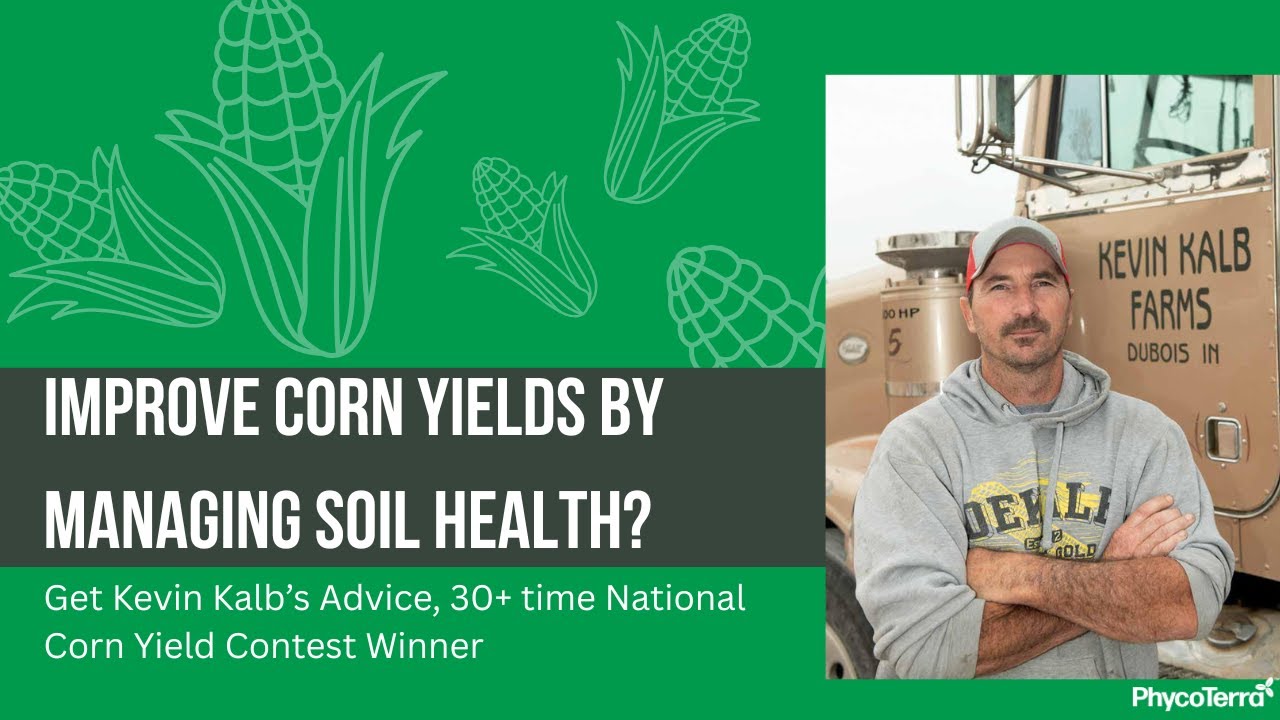 Improve Corn Yields by Managing Soil Health