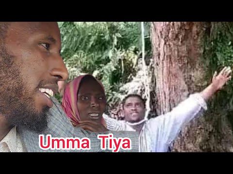 Ustaz Sa Ad Aliyyi Hati Ilmoo Ifi Lafaa Dheretuu Demte Barasifti 29 May 2023