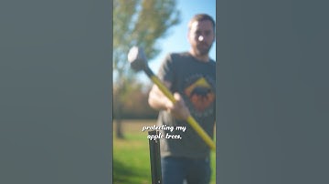 Saving my Apple Trees #conservation #backyardgardening #backyardnature