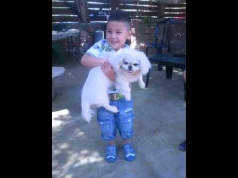 تكنو رايس دي هلال اسو