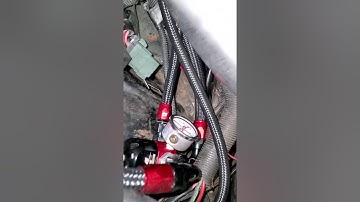 1978 Trans Am SUPERCHARGED first start!