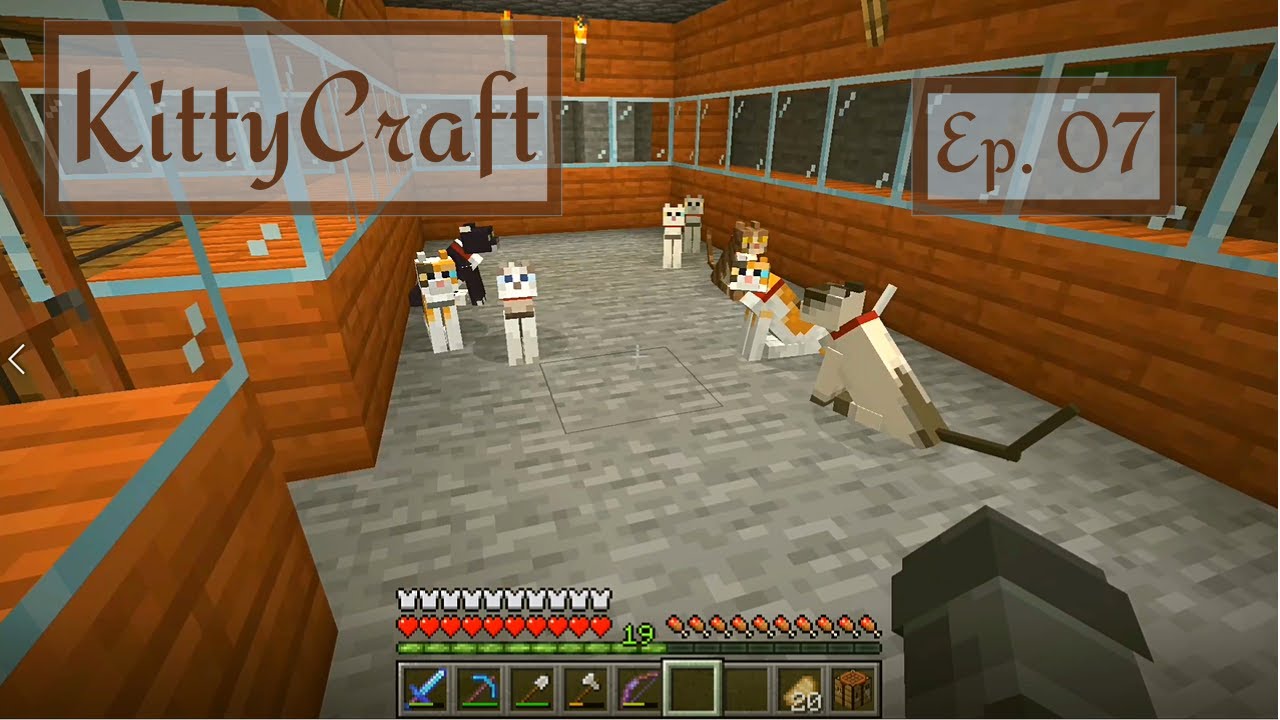 Kittycraft KITTYCRAFT Ep. 07 | Herding Cats! - YouTube
