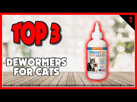 Video: Imunofan For Cats: Instructions For Use, Prevention And Treatment With The Drug, Contraindications, Price, Reviews, Analogues