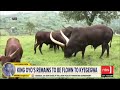 King Oyo's Body Returns to Uganda | Uganda in Tears: King Oyo's Body Arrives Home | NBS Television