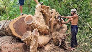 Quá Liều Lĩnh Với Pha Cưa Hạ Nguyên Gốc Cồng Của Vua Khỉ MIền Tây