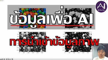 ข้อมูลเพื่อ AI: การนำเข้าข้อมูลภาพด้วย Python