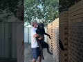 Checking if our dogs are smart...