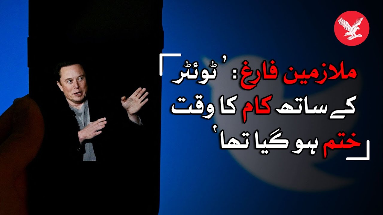 Elon Musk's Twitter lays off employees across the company - YouTube