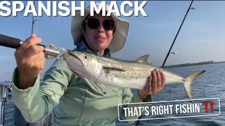 That’s Right Fishin’‼ Shark!! Spanish Mack! #angler #fishing #shark