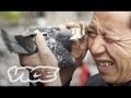 Chinas millionaire pigeon racers full length