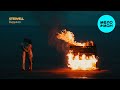 STERVELL - Видимо (Single 2025)