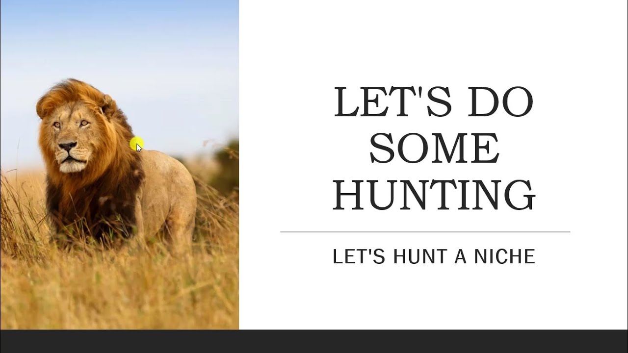 Complete proces of niche hunting for affilliate blogs-website (PART 1)