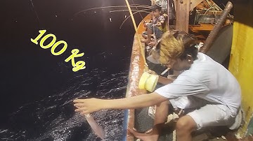 CÂU MỰC BIỂN ĐÔNG - Đêm Nay Được 100 Kg, Mực Đáy Ăn Nhiều |Câu Mực Biển Tây #79