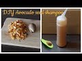 DIY | You Won't Throw Away Your Avocado Seed Ever Again (Part Two) | Back2NaturalGirls