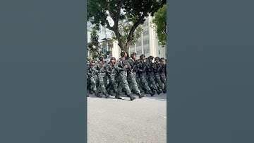 Khối Chiến sĩ lục quân diễu binh Quốc Khánh #quockhanhvietnam #dieubinha80 #dieubinh #dantocvietnam