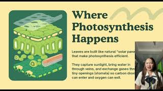 DEMO SIMULATION OF PHOTOSYNTHESIS 