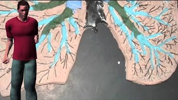 ASTHMA SYNTHESIS INTERACTION OF GENES & ENVIRONMENT 2e