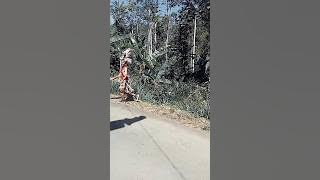 ada apa mereka pada berlarian #Dayak #Ikn #Sukuindonesi #Pedalaman #Pribumi