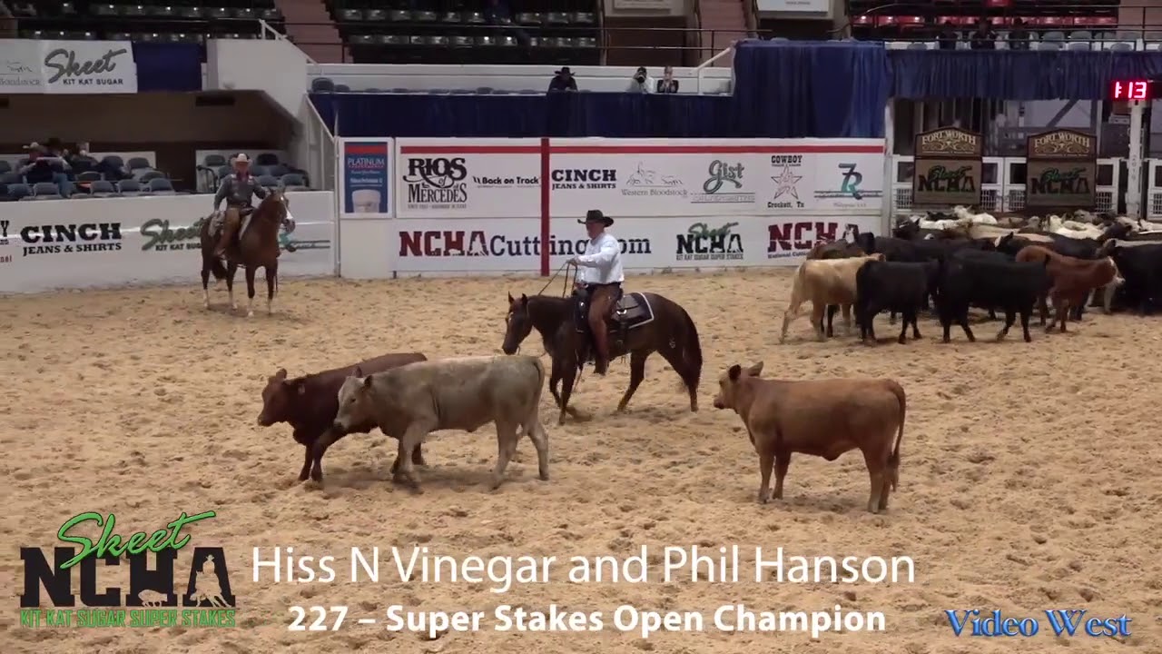 Phil Hanson Hiss N Vinegar 2019 NCHA Open Super Stakes Champions