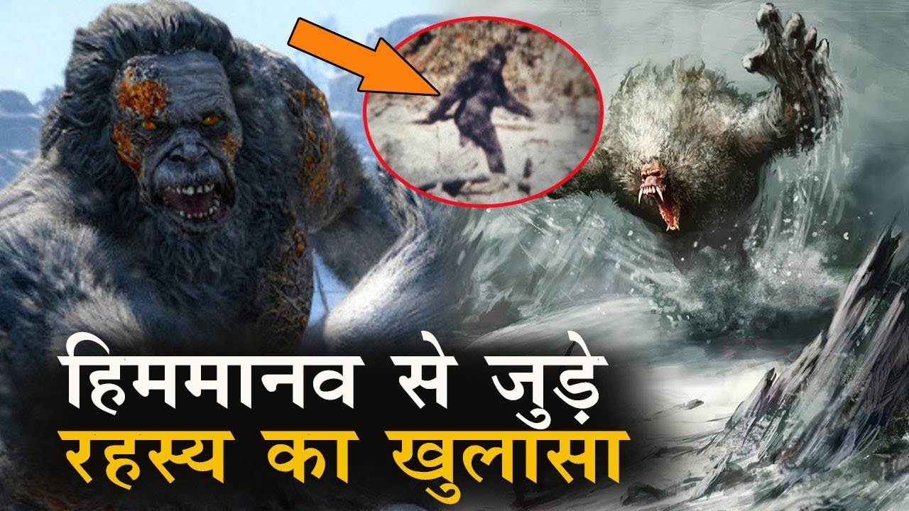 Himmanav Yeti के रहस्य का सबसे बड़ा खुलासा, वैज्ञानिकों ने बताई दुनिया को हैरान कर देने वाली सच्चाई