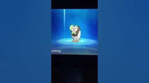 Dartrix evolves into decidueye
