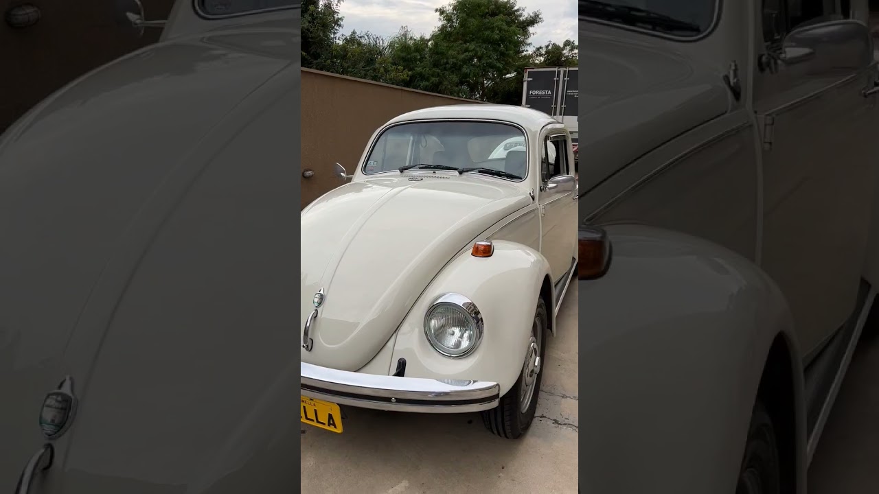 Fusquinha 1985 do Mauricio 