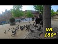 VR180° The Bird woman, Sheffield