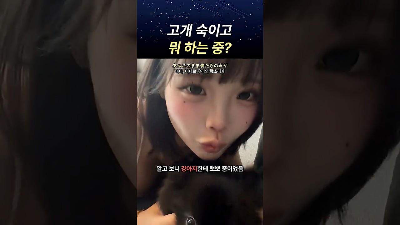 고개 숙이고 뭐하는 중?#jpop #일본노래