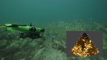 Endura with Multibeam Sonar